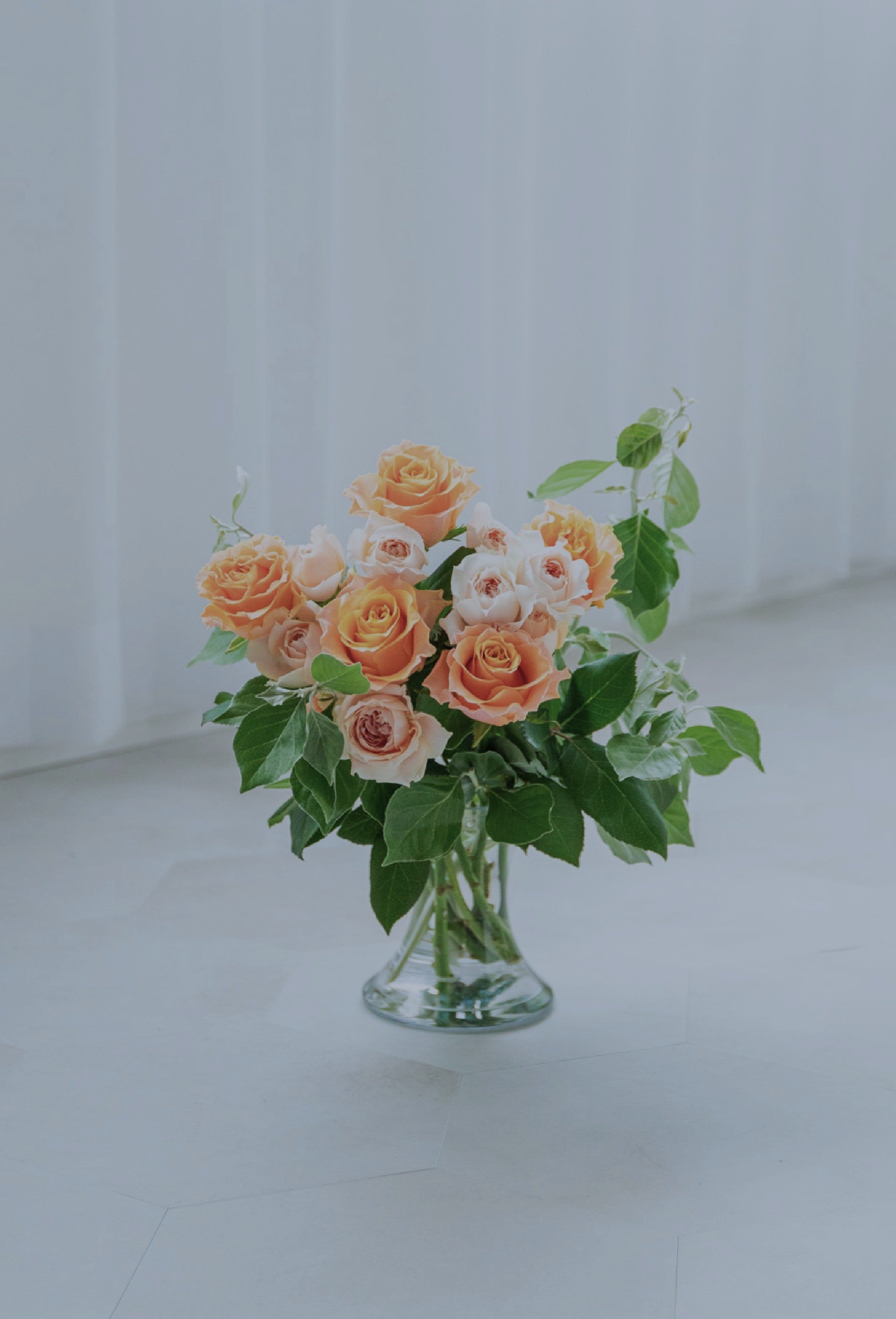 クラシックライン ＜プレミアム＞ | MoaFura