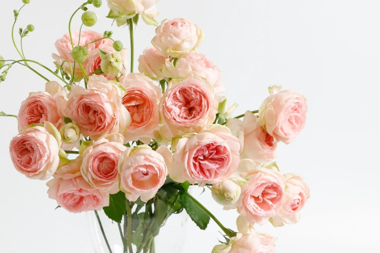 9月5日(火)〜10月2日(月)にお届け