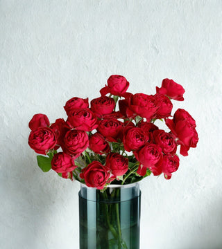 11月11日(火)～11月17日(月) お届け【ガーネットジェム】