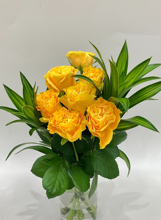 1月26日(火)〜2月2日(月)お届け【マンゴーリーバ】