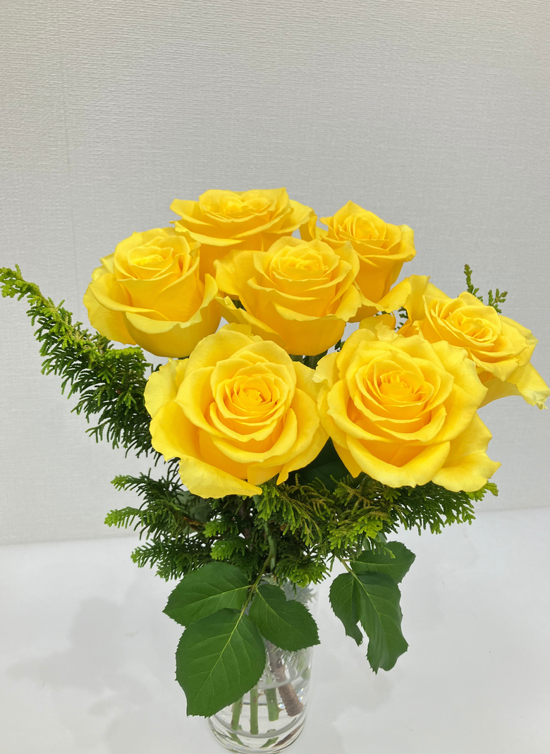 1月20日(火)〜1月26日(月)お届け【パルマレス】