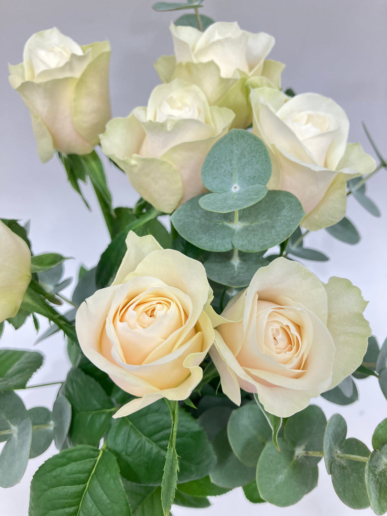 3月10日(火)～3月16日(月)【ジリアン】