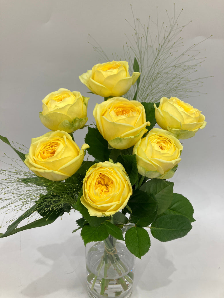 3月17日(火)～3月23日(月)【カタリナ】