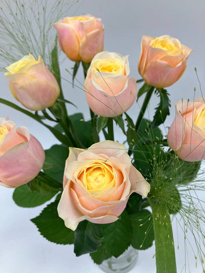 3月24日(火)～3月30日(月)【セントピーターズパーク】