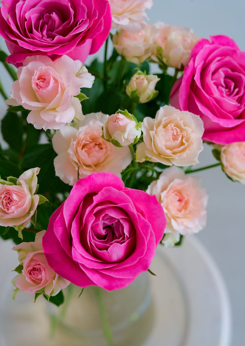 11月25日(火)〜12月1日(月)お届け【ALL4LOVE + SPファンシーローラ】