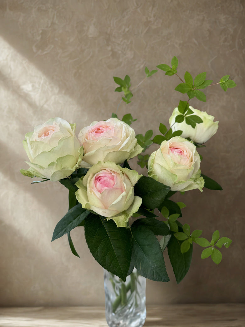 12月16日(火)〜12月22日(月)お届け【アルヌワブラン】