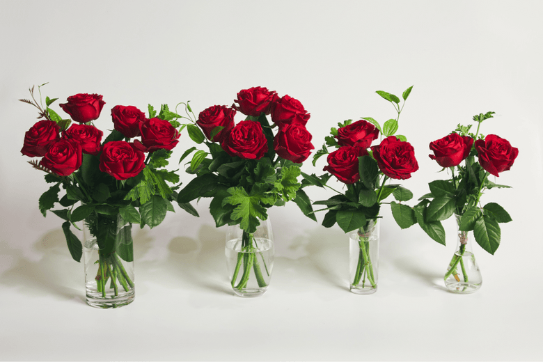 4月26日（火）〜5月2日（月）にお届け予定の定期便