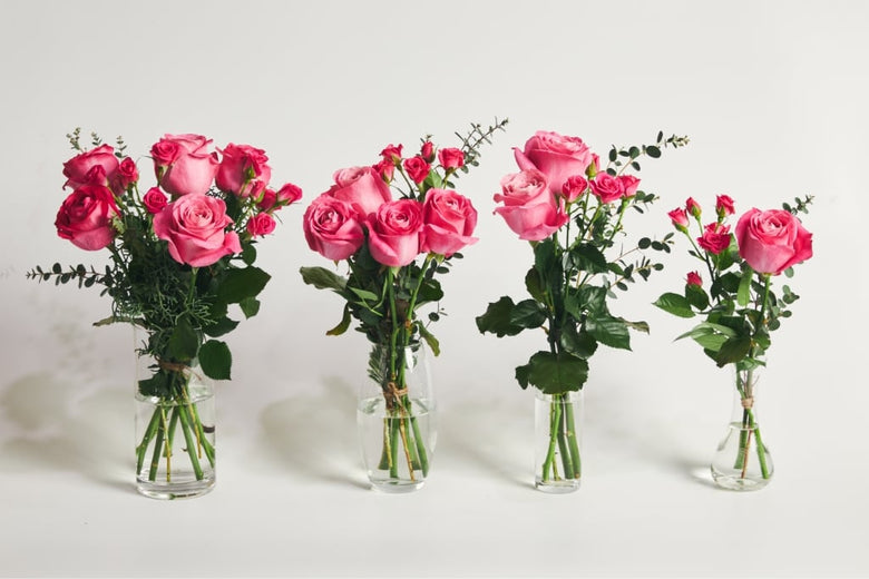 5月3日（火）〜5月9日（月）にお届け予定の定期便