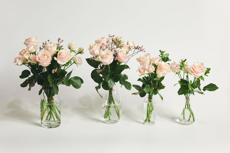 5月17日（火）〜5月23日（月）にお届け予定の定期便