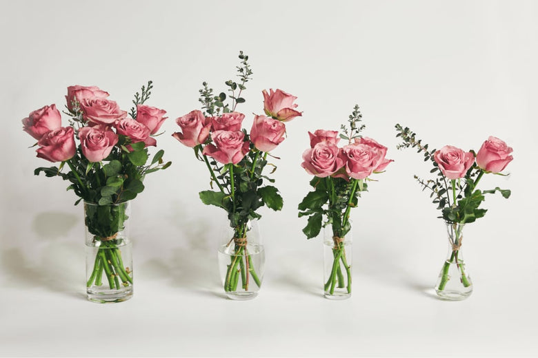 5月10日（火）〜5月16日（月）にお届け予定の定期便