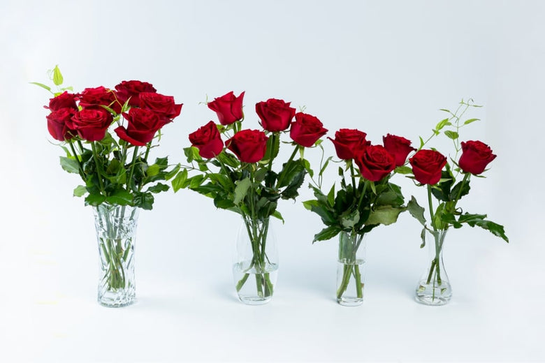 5月31日（火）〜6月6日（月）にお届けの定期便