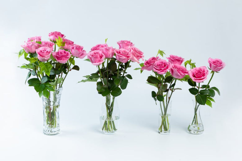 6月7日（火）〜6月14日（月）にお届けの定期便