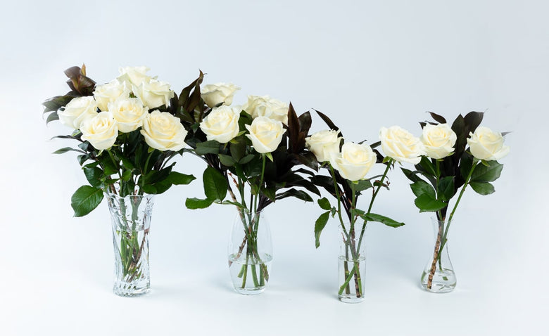 6月14日（火）〜6月20日（月）にお届けの定期便