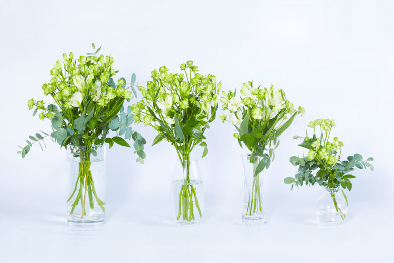 6月21日（火）〜6月27日（月）にお届けの定期便