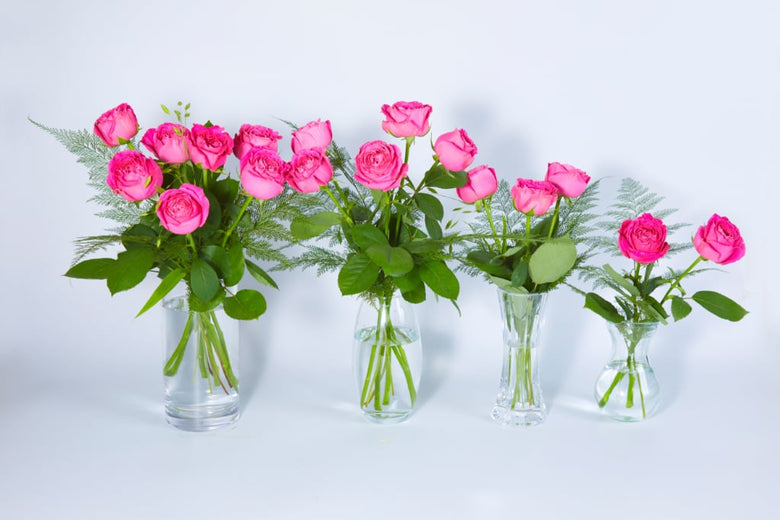 6月28日（火）〜7月4日（月）にお届けの定期便