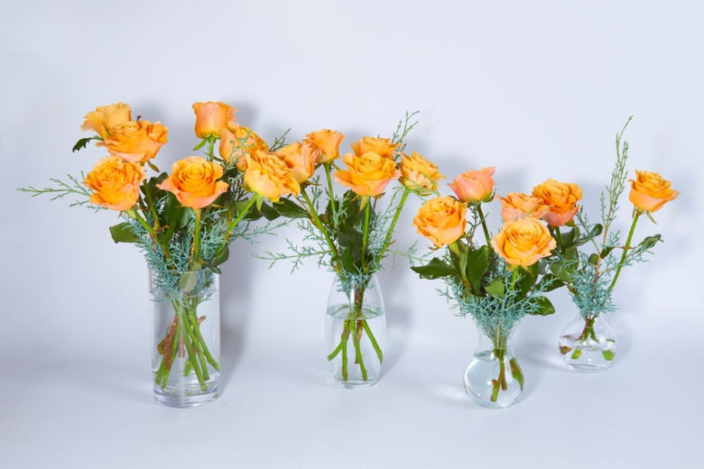 7月5日（火）〜7月11日（月）にお届けの定期便