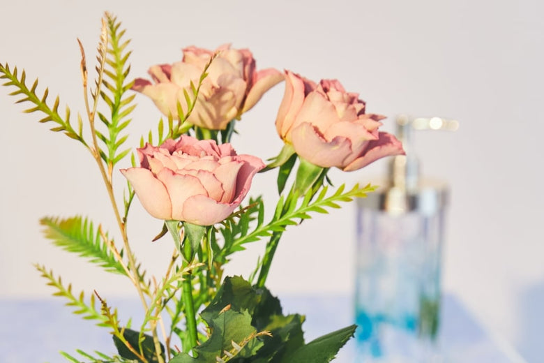 7月19日（火）〜7月25日（月）にお届けの定期便