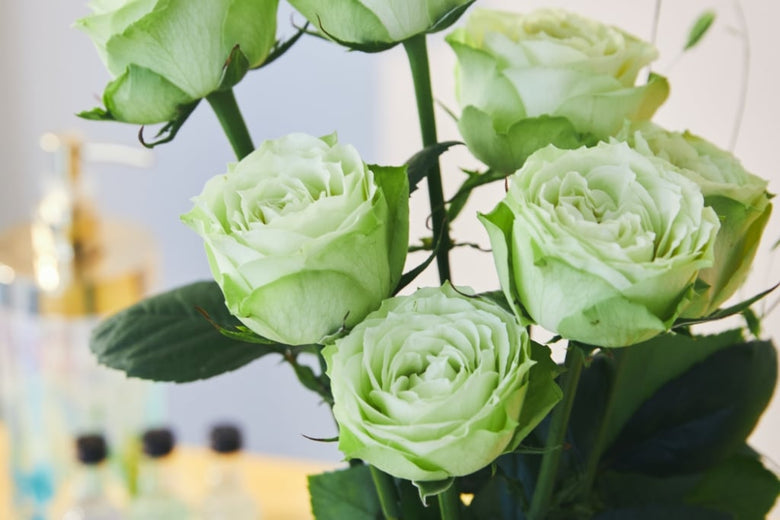 7月26日（火）〜8月1日（月）にお届けの定期便