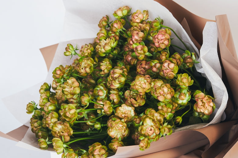 8月9日（火）〜8月15日（月）にお届けの定期便