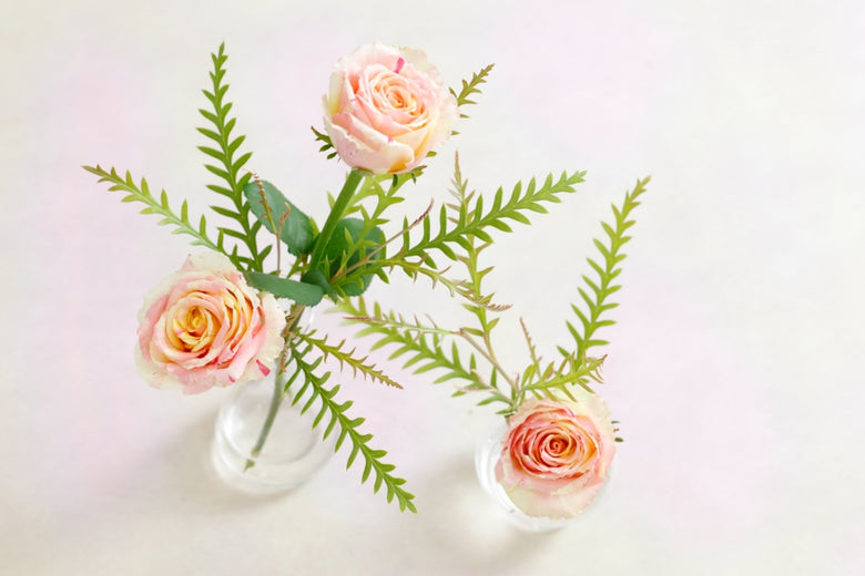 8月16日（火）〜8月22日（月）にお届けの定期便