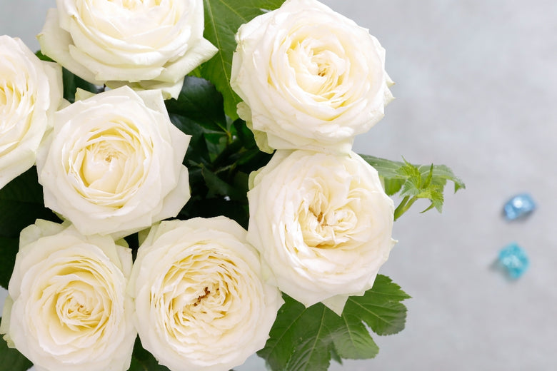 8月23日（火）〜8月29日（月）にお届けの定期便