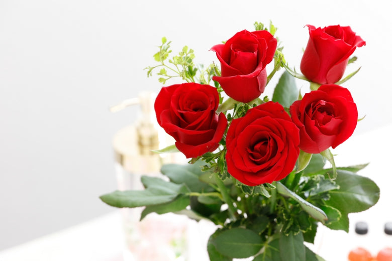 9月 6日（火）〜9月12日（月）にお届けの定期便