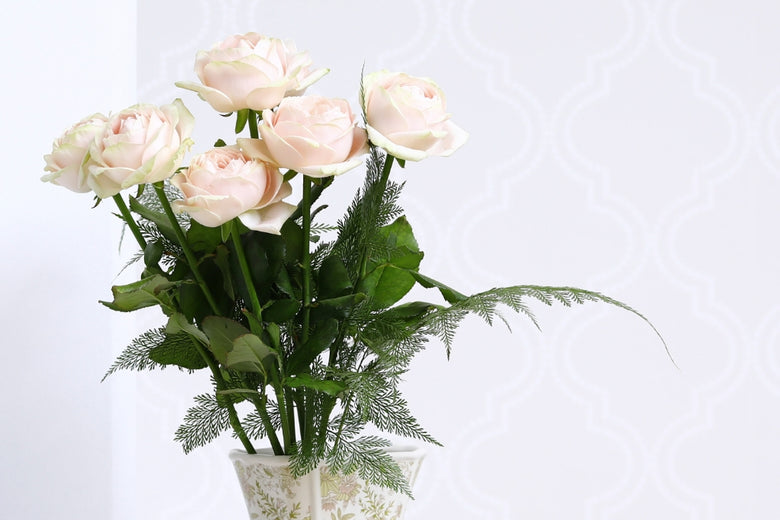 9月 20日（火）〜9月26日（月）にお届けの定期便