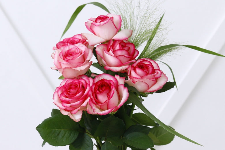 9月 27日（火）〜10月3日（月）にお届けの定期便