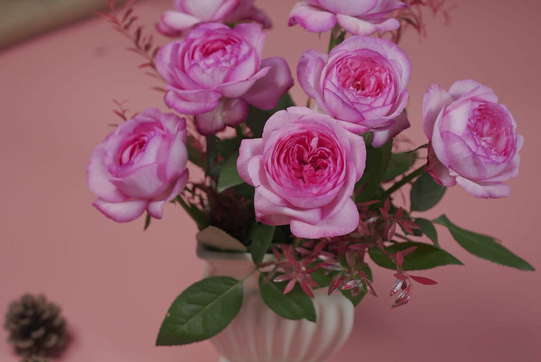 10月11日（火）〜11月08日（月）にお届けの定期便