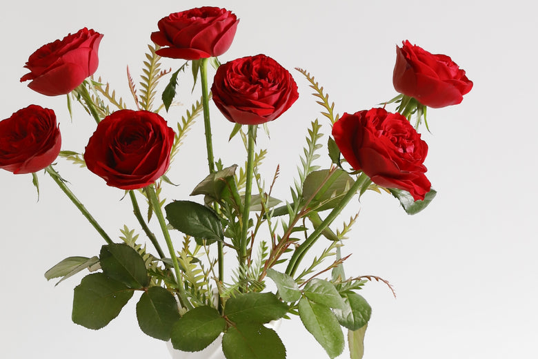 11月8日（火）〜12月12日（月）にお届けの定期便