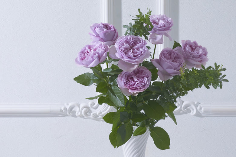 12月13日(火)〜1月30日(月)にお届けの定期便