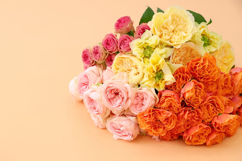 1月31日(火)〜3月6日(月)にお届けの定期便