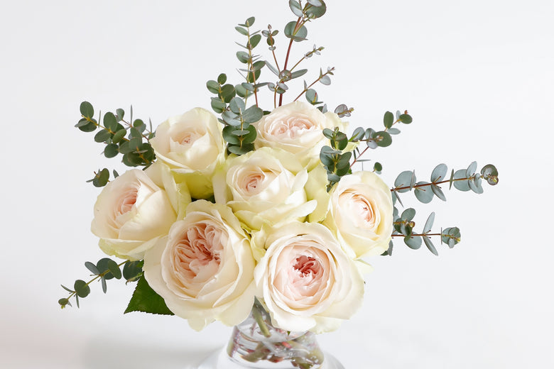 3月7日(火)〜4月10日(月)にお届けの定期便