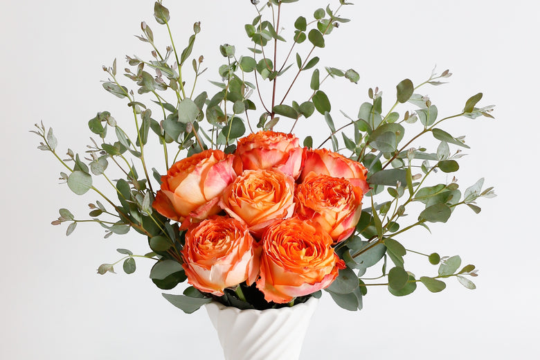 6月13日(火)〜7月10日(月)にお届けの定期便