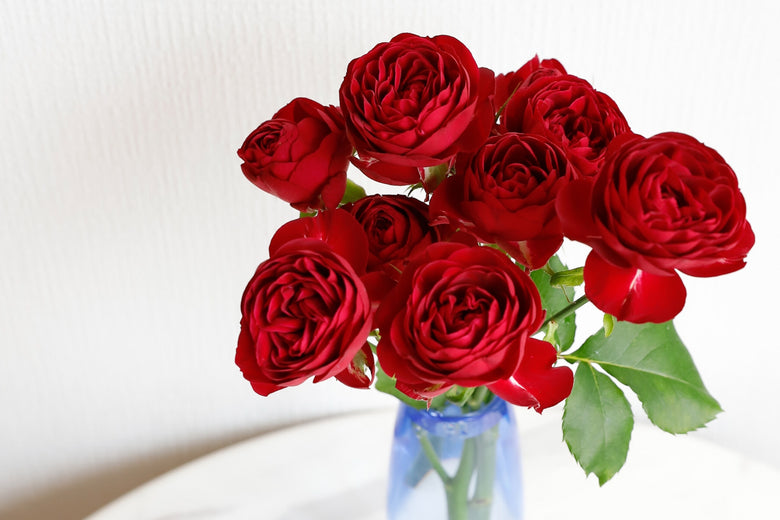 7月11日(火)〜8月7日(月)にお届けの定期便