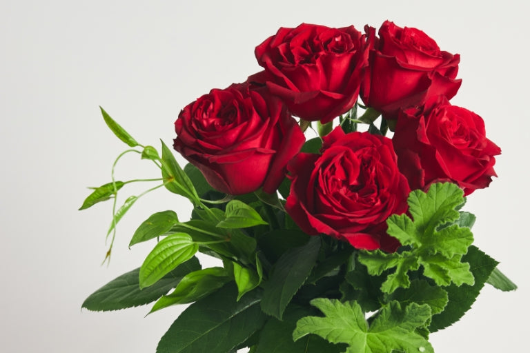 10月2日(月)〜10月29日(日)にお届け