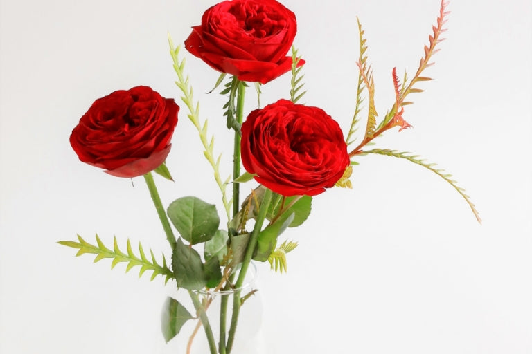 2月6日(火)〜3月4日(月)お届け