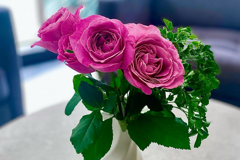 6月3日(火)〜7月7日(月)にお届け