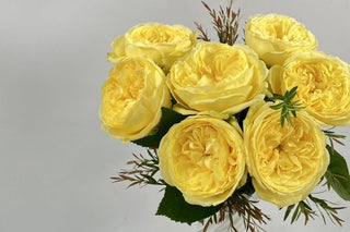 10月6日(月)〜11月2日(日)にお届け