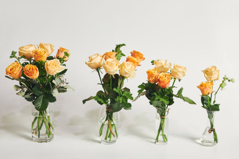 4月20日（水）〜4月25日（月）にお届けの定期便