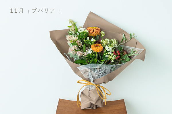 11月の花束　L