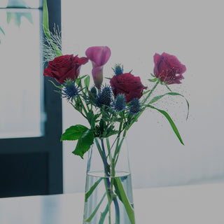 カジュアルライン