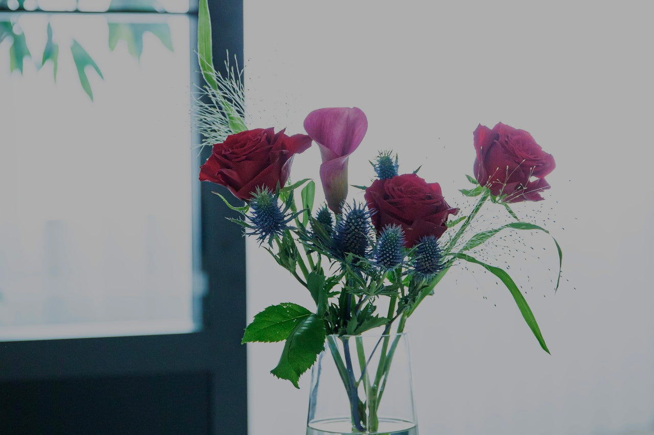 H 9999 399 c43ca901 1a3c 4e8e ab43 ca412c57d106